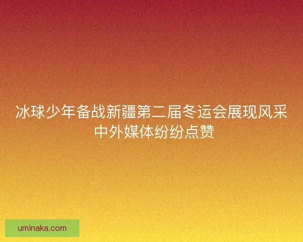 冰球少年备战新疆第二届冬运会展现风采 中外媒体纷纷点赞 冰球少年备战新疆第二届冬运会展现风采 中外媒体纷纷点赞