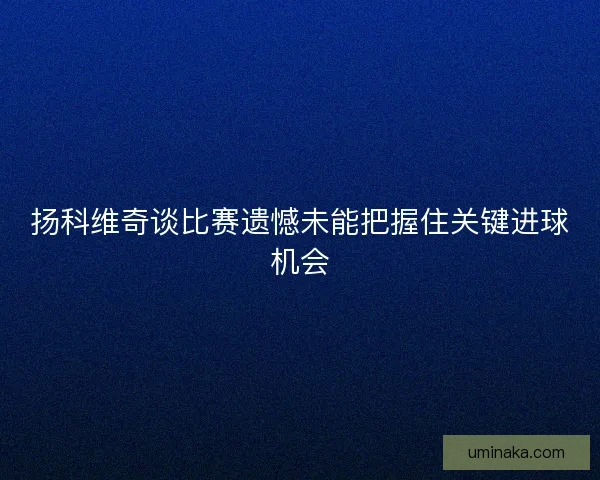 扬科维奇谈比赛遗憾未能把握住关键进球机会 扬科维奇谈比赛遗憾未能把握住关键进球机会